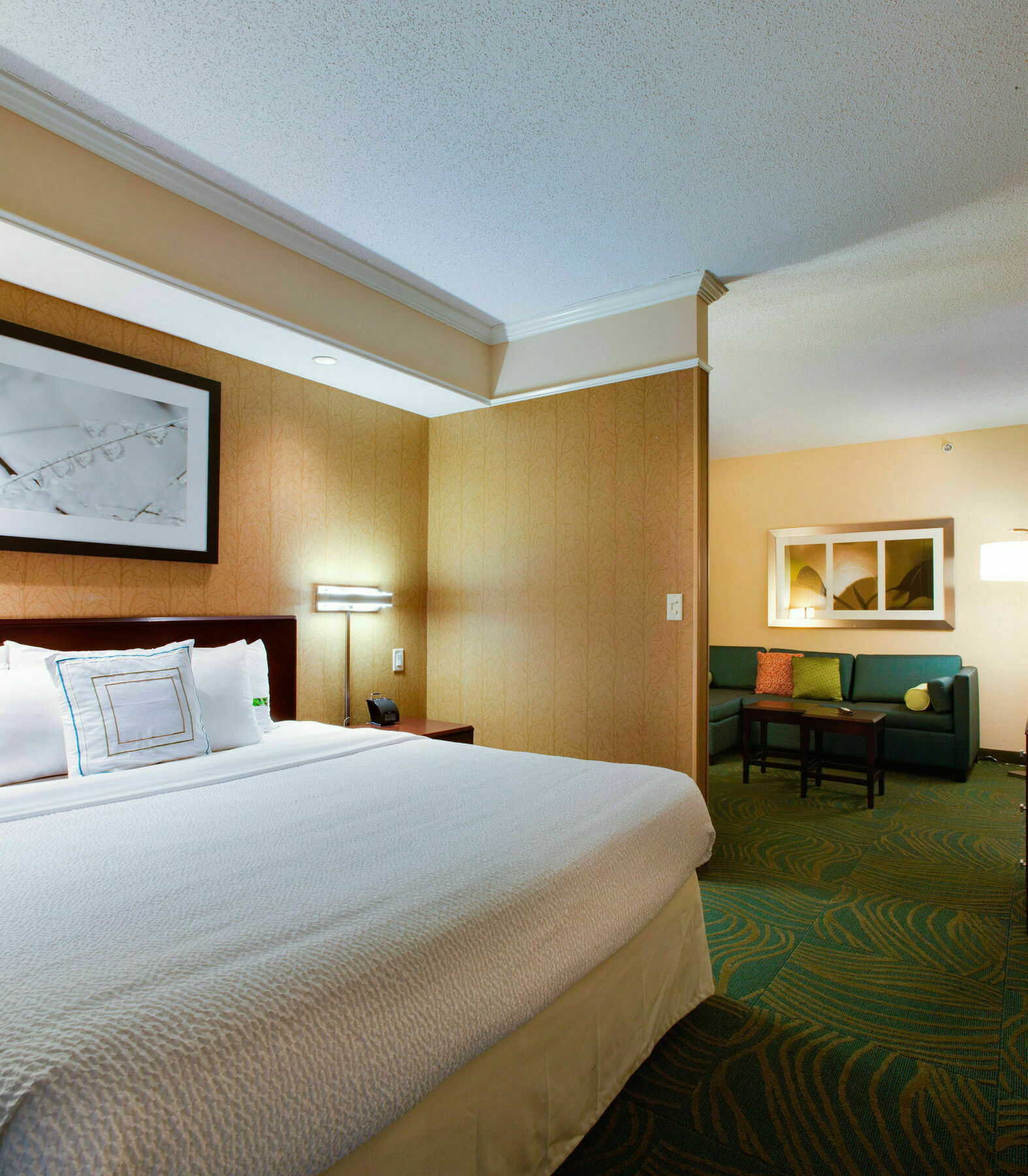 Springhill Suites By Marriott Savannah I-95 South Georgetown Extérieur photo